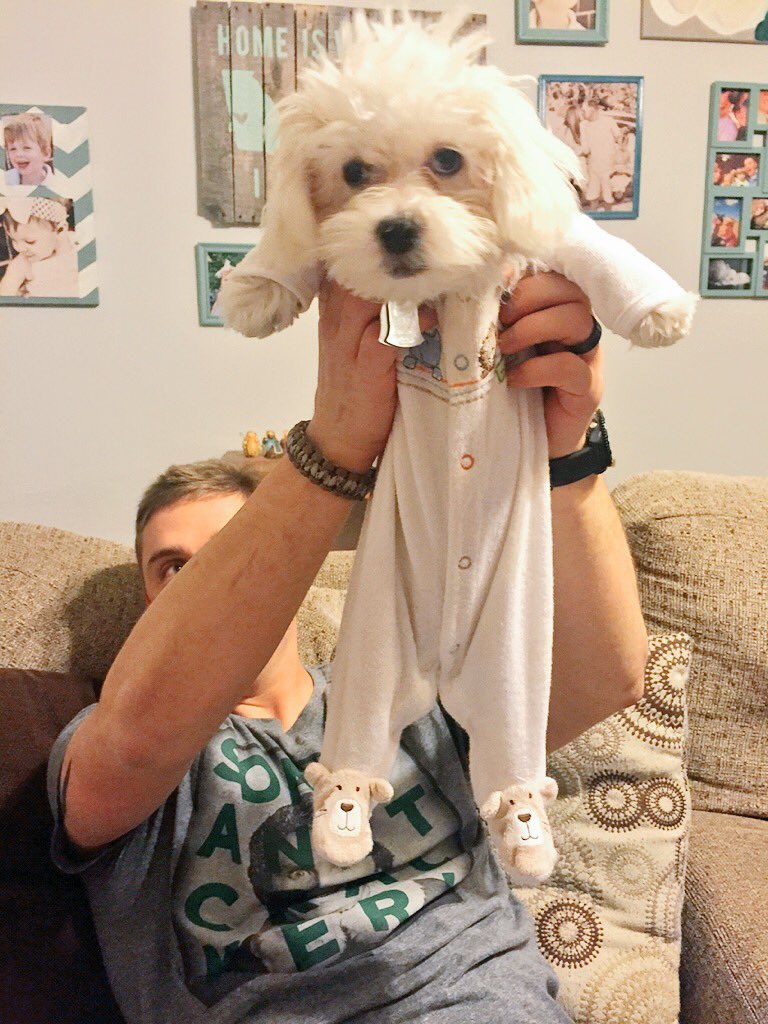 MikailiCarter's tweet photo. @Chelseacarter25 swears her dog is a baby.. I'm done.😂 https://t.co/ZocPZqrH4f