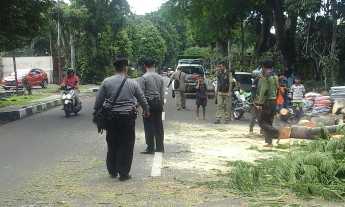 11:01 WIB. Pohon tumbang di Jl. Dadali saat ini msh penanganan Polri dan Dinas Pertamanan