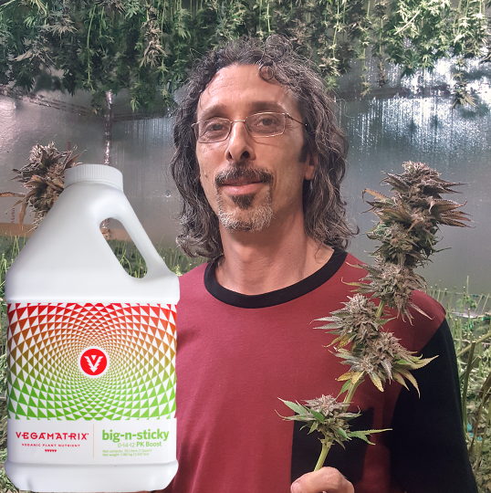 vegamatrix's tweet photo. It's here! The Bloom Booster you’ve been waiting for has finally arrived! Get Big-N-Sticky, on shelves NOW. https://t.co/9M1IcLz5UZ