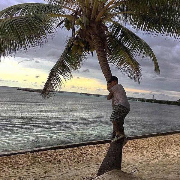 lelle_velozo's tweet photo. aquele momento que "porque não sou uma árvore?" queria ser mt ela. JUSTIN BIEBER IS COMING  #RespectJustinAndHailey https://t.co/mpO0gfupe9