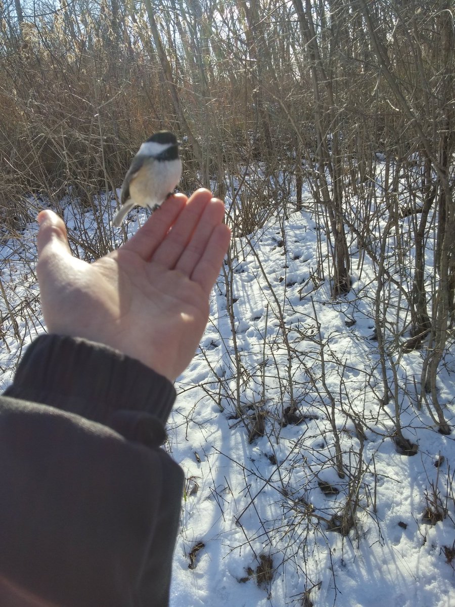 _FrankThompson's tweet photo. Made some friends today, we just chillin enjoying the sunshine #GetOutside #Tifft https://t.co/VcI4rNe0bd