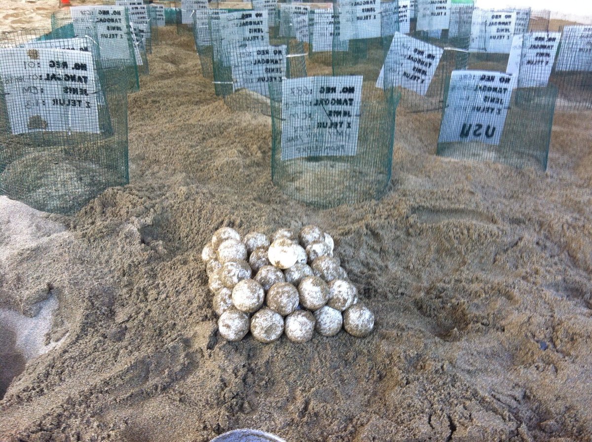 AdHadip's tweet image. daffatransport.com