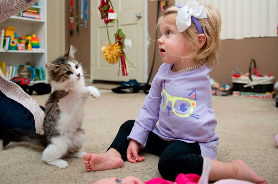 NoticiasCaracol's tweet image. #GALERÍA Bebé que perdió un brazo crea hermosa amistad con gatito de tres patas bit.ly/1R9l97l