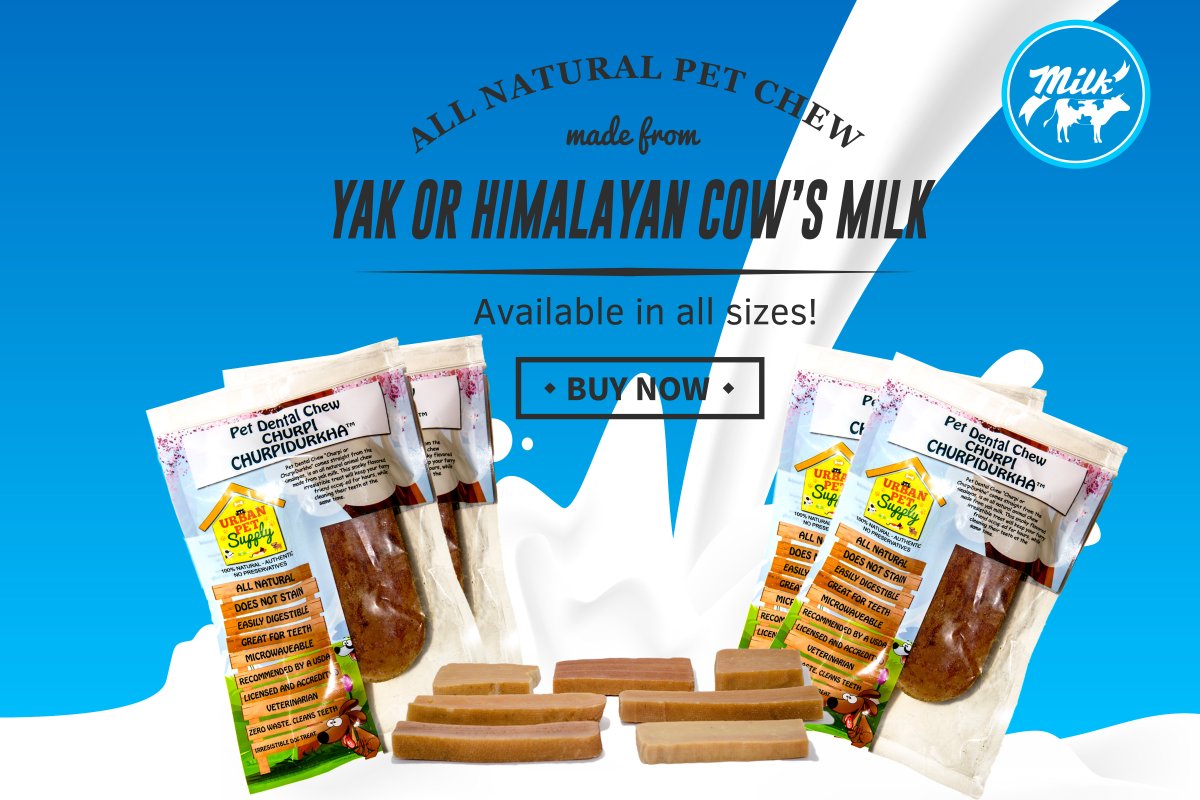 pets_supply's tweet photo. Organic dental chews made from yak milk.Proceed will go to local community of @Nepal where these product are made. https://t.co/wttzRb6PMl