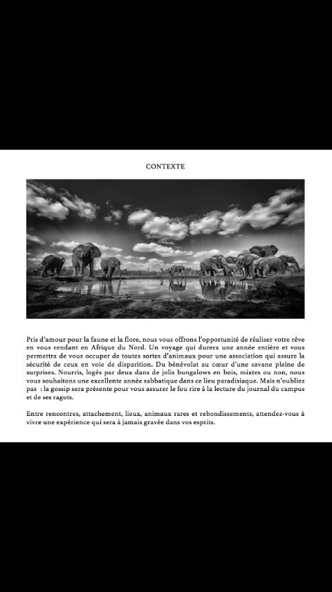 rpostfr's tweet photo. cherche rpg twitter

@rpgsaf https://t.co/BDInPibjdk