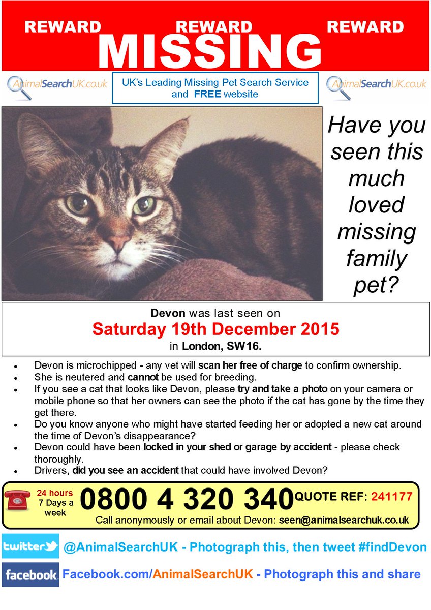 AnimalSearchUK's tweet photo. PLZ RT @VetPractitioner #missingcat #GreaterLondon #SW16 #findDevon
https://t.co/RRnk1g8DGG β¦ https://t.co/jmQIdYgLQB