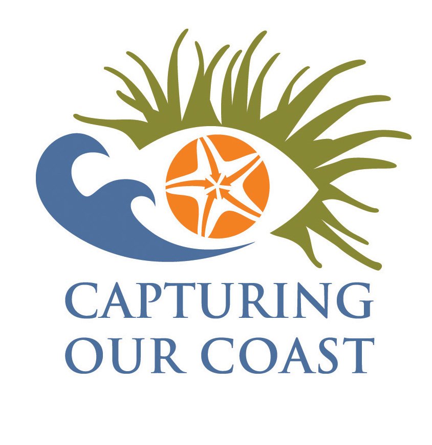 CapturingRCoast's tweet photo. And finally: on the 12th day of #fishmass #CoCoast gave to me: twelve months a year of marine citizen science fun! https://t.co/DVNeh5RM1y