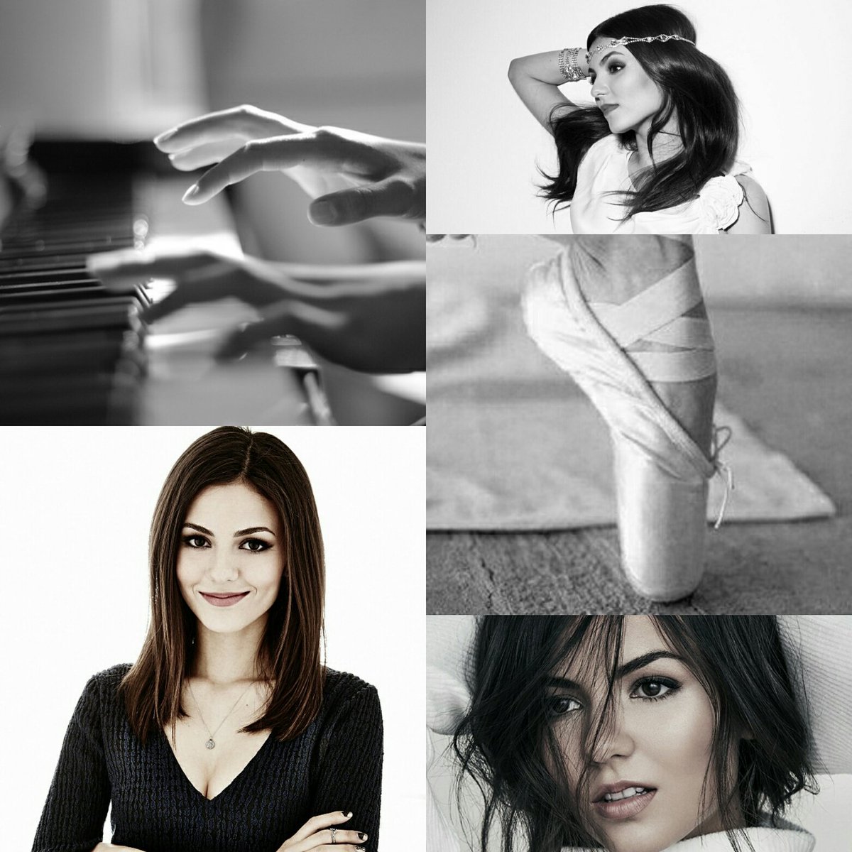 SeptimaVectorHP's tweet image. 