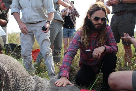 BibiBee74's tweet photo. @JaredLeto #IvoryIsForAssholes you speak for those who cannot speak for themselves! ⭕❌  #SpeakForAnimals👍Thank You❤🐘 https://t.co/quZxzgSJYS