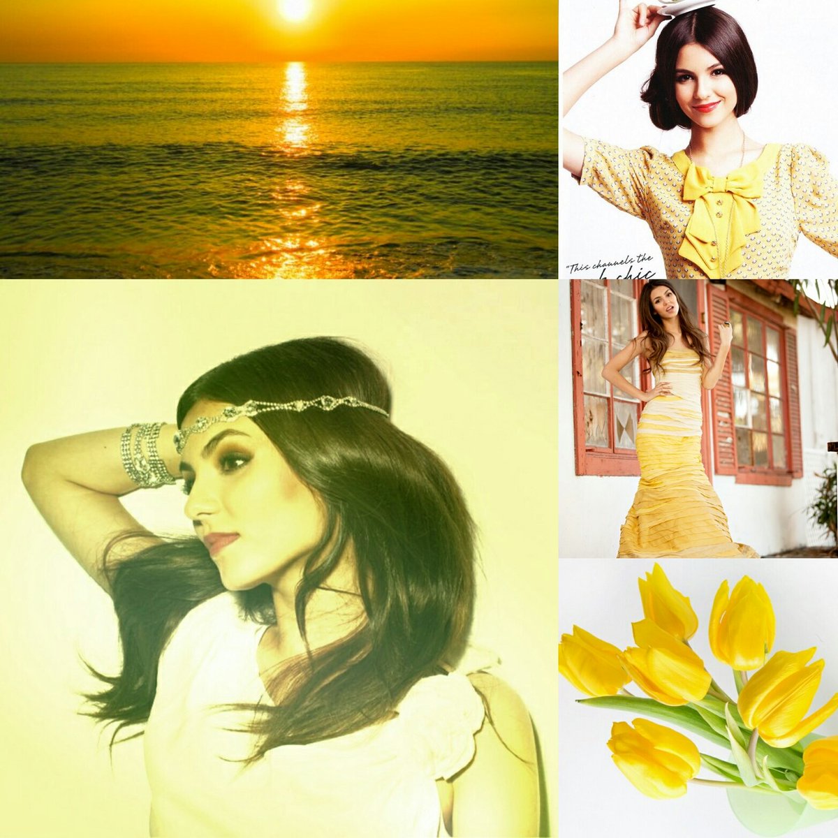 SeptimaVectorHP's tweet image. 