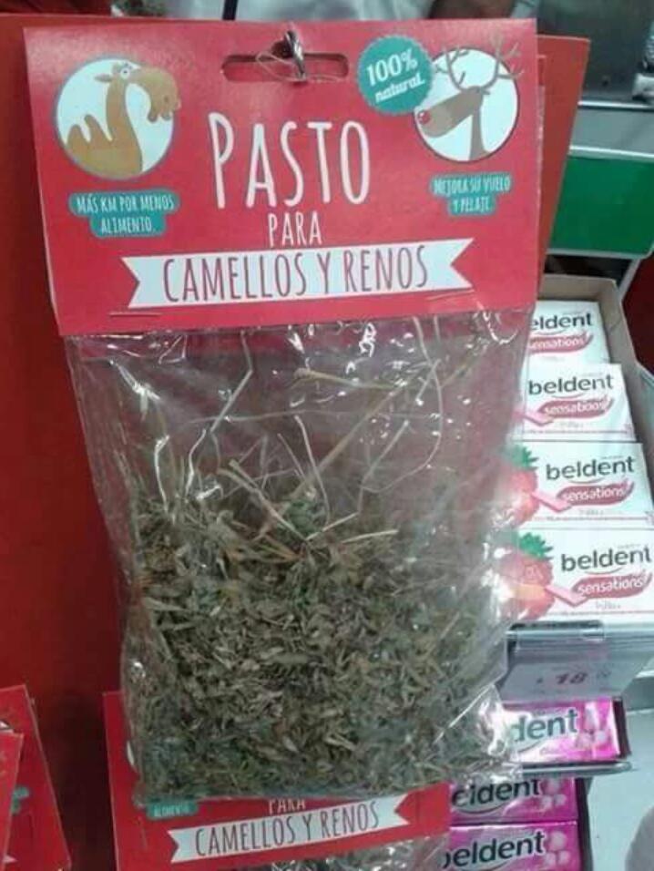 WalterEvers's tweet photo. Vendo pasto orgánico para camellos, en bolsas de medio y 1 kilo, precios al inbox https://t.co/RWDmfy45Gg