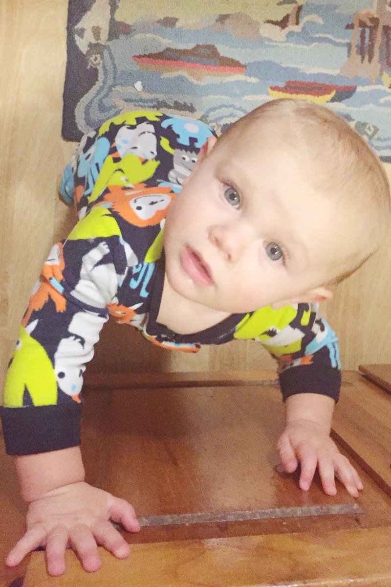 hank at ten months. …mplyeverythingbeautiful.wordpress.com/2016/01/05/han…