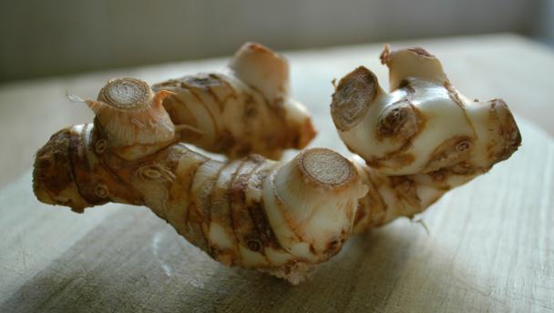 Malay Taste On Twitter Galangal Is A Root From The Ginger Family That Looks Like A Knobbly Jerusalem Artichoke Is Widely Used In Malaysia Https T Co F5gua6nzha