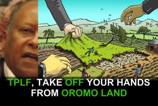 Permalink til innebygd bilde