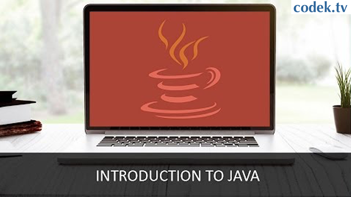 i_am_programer's tweet image. Introduction to Java | Java Video Tutorial for Beginners – Part 1
codek.tv/6658  

#introductiontojava