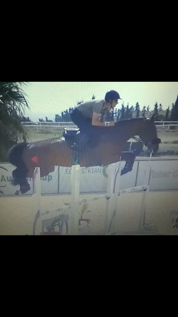 elodielfs's tweet photo. Bamako( Darco x Toulon ).. 7yo for sale!! Go on our YouTube page CitizenHorses see him and get to know our horses.. https://t.co/3wdCdMzqWA