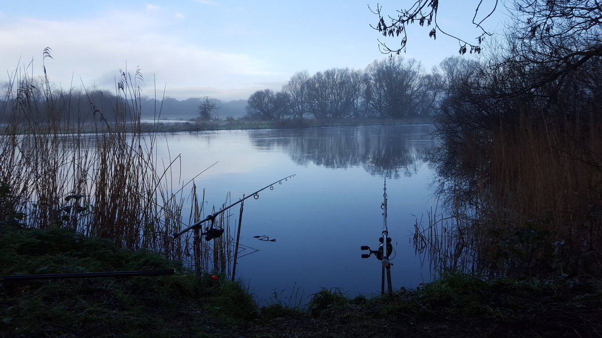 richard_handel's tweet photo. Misty morning #pikefishing #hampshireavon #predatorplus #tfgear #fishtec #assofishingline #richardhandel #deadbaits https://t.co/Nn52Sy5hJx