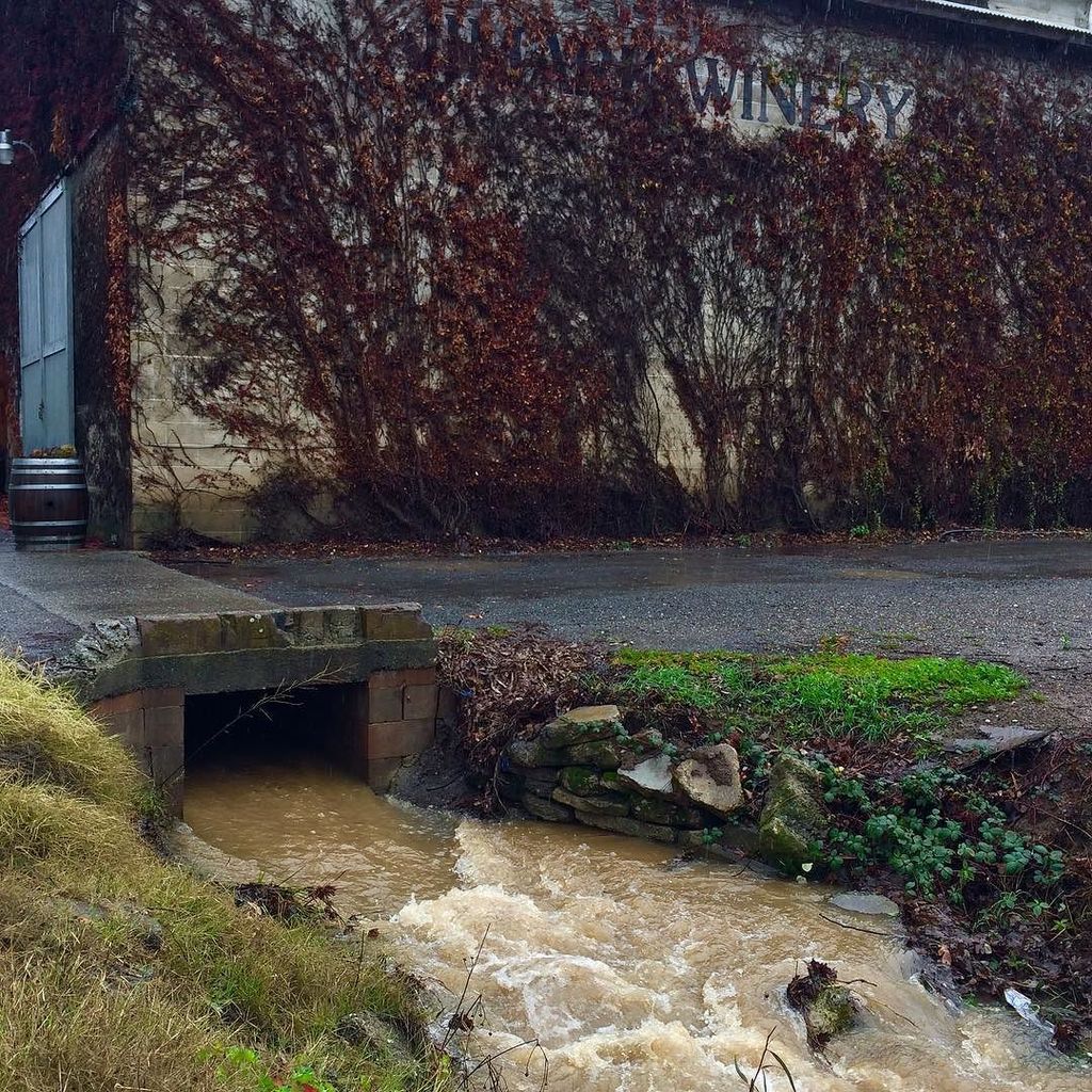 JogTog's tweet photo. Haven't seen water like this in awhile😊👏🏽☔️ #limerickwinery #rain #outdooors #clouds #natu… https://t.co/EBPEC7FOLQ https://t.co/5fTFGWUhYN