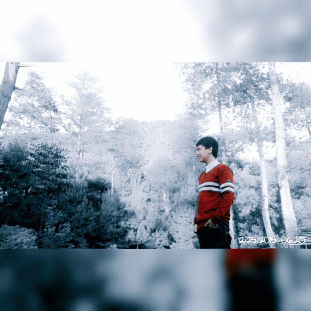 Amievengeance94's tweet image. So cool! @ginghambox  #KeepWarm