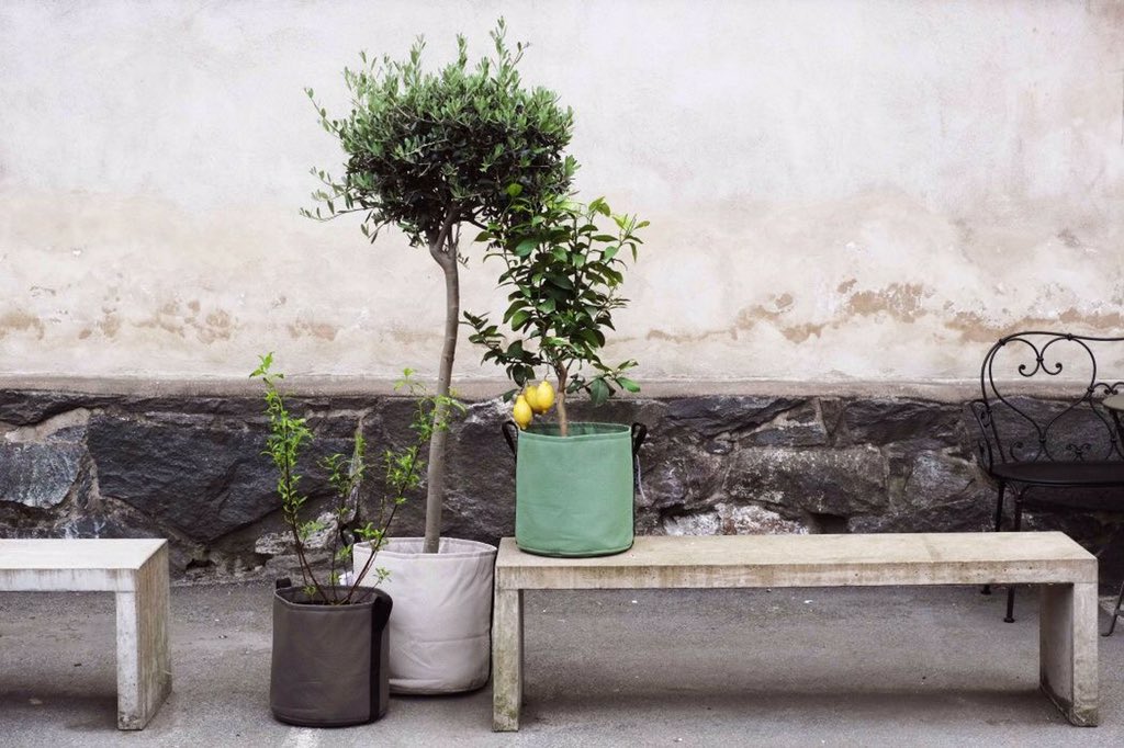 Tijd om weer vooruit te kijken. #lente #BACSAC