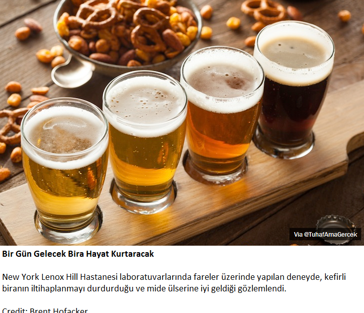 TuhafAmaGercek's tweet photo. Bir Gün Gelecek Bira Hayat Kurtaracak https://t.co/LOQOPe7FbD