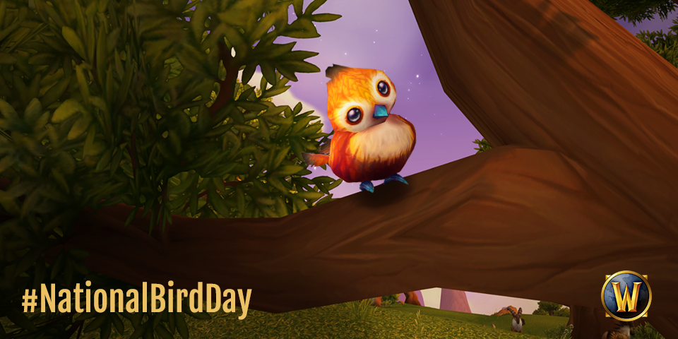 Warcraft's tweet photo. Happy #NationalBirdDay! https://t.co/3mmlMXiVoX