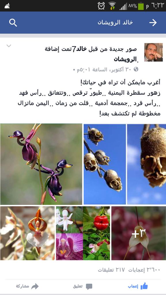 سبحان الله .. من أزهار جزيرة سقطرى