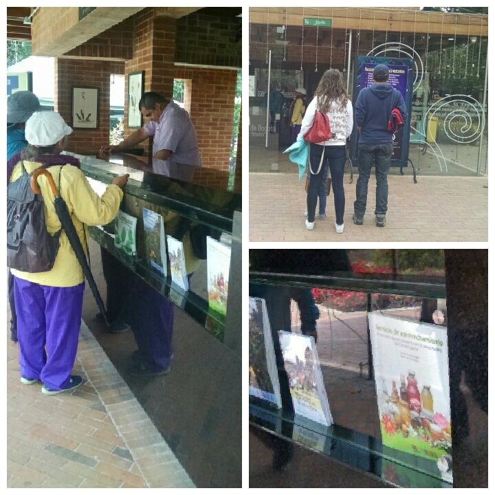 Ya conoces las publicaciones del Jardín Botánico de Bogotá? Visita nuestra tienda! Más info jbb.gov.co