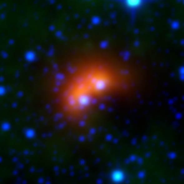 Two speedy stars are thought to be creating a double bow shock! See new WISE image nasa.gov/feature/jpl/ru… #aas227