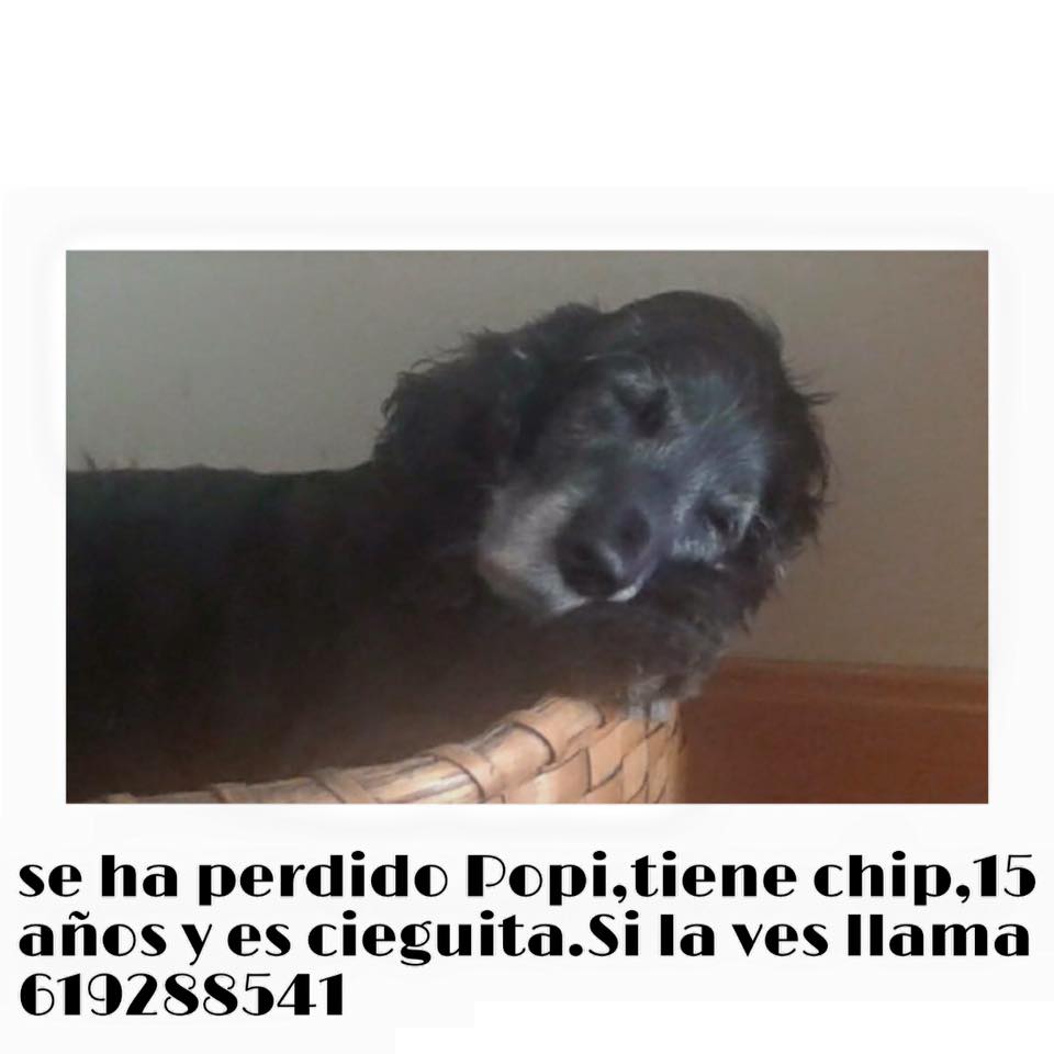 LOLA_MV1 tweet media