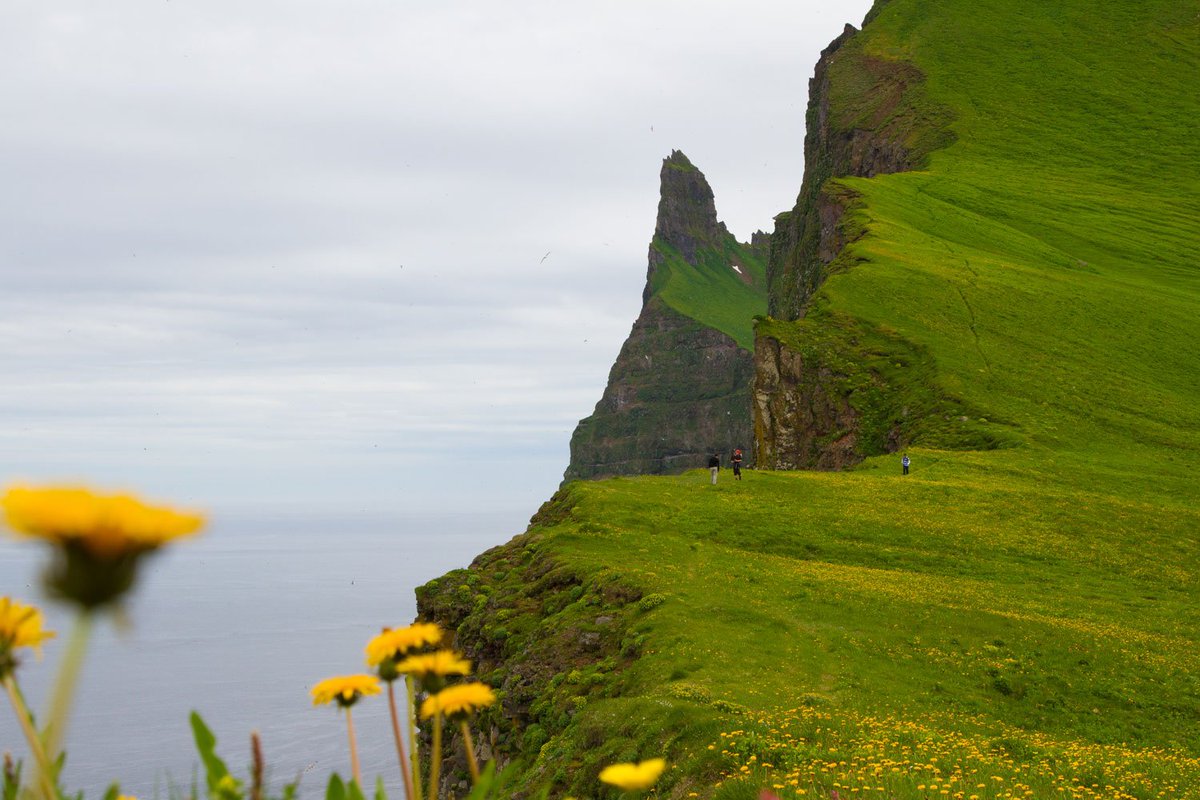 concienciaeco's tweet photo. Reserva Natural de Hornstrandir, Islandia #Naturaleza  https://t.co/H7xHNIxyJT