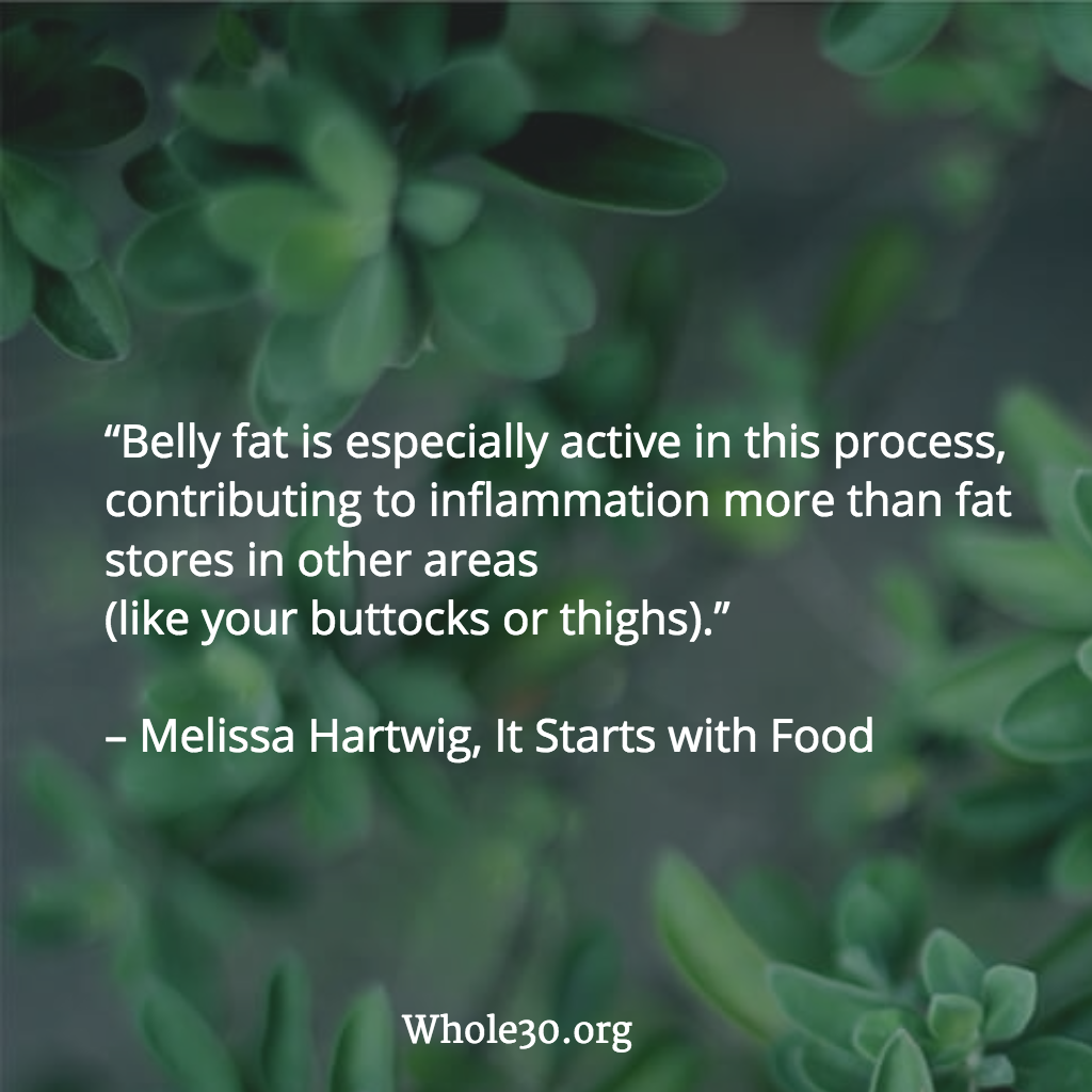 Whole30org's tweet photo. “Belly fat is especially active in this process, contributing to inflammation more than fat stores in other areas... https://t.co/dUYakU5OMm