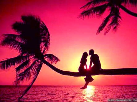 weddingofluxury's tweet photo. #beautiful view https://t.co/pRPdgBPVkT