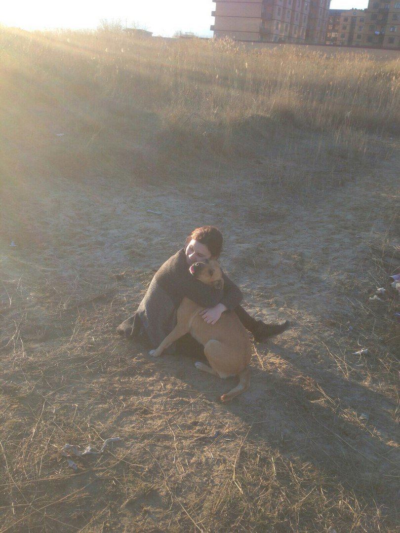 kdm_dgunh's tweet image. Волонтеры #ЦРВИД #ДГУНХ посетили #приют для собак.#КдмДгунх #Махачкала