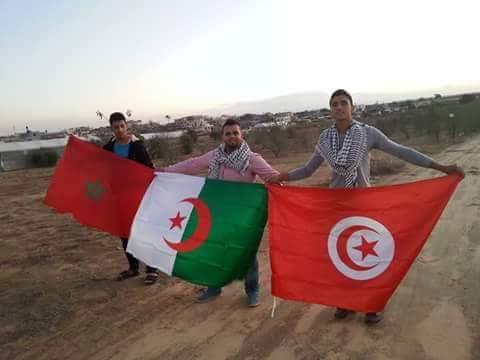 djamalemarocan's tweet photo. #WASPSG https://t.co/7V2btEcw53