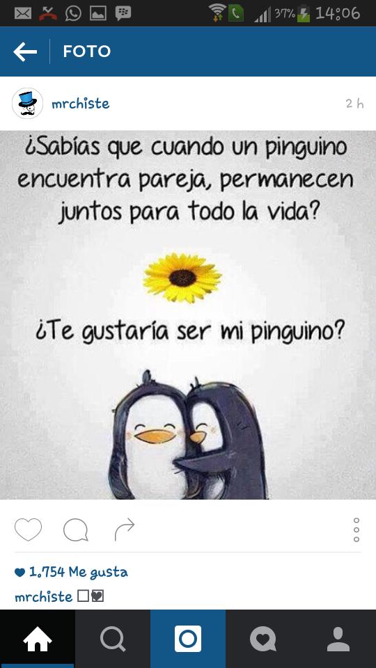 fer27salas's tweet photo. @JennelCR https://t.co/H8Gg1Fnw8L