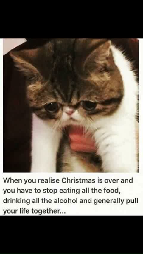 Fiona_ODonovan's tweet image. Setting a 5am alarm tonight will be slightly traumatic #NotCoping