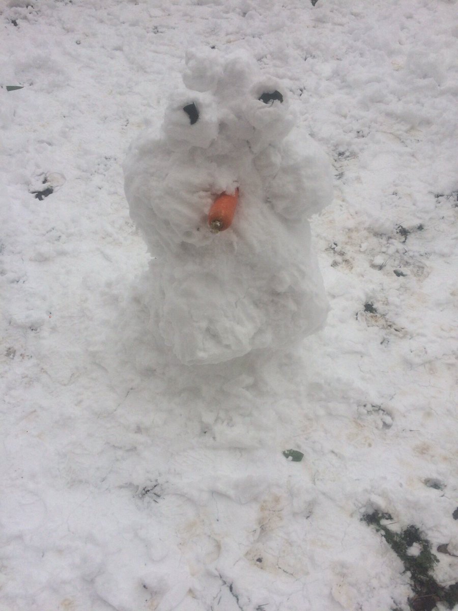 Tatil haberini beklerken#vasippazartesitatildesene