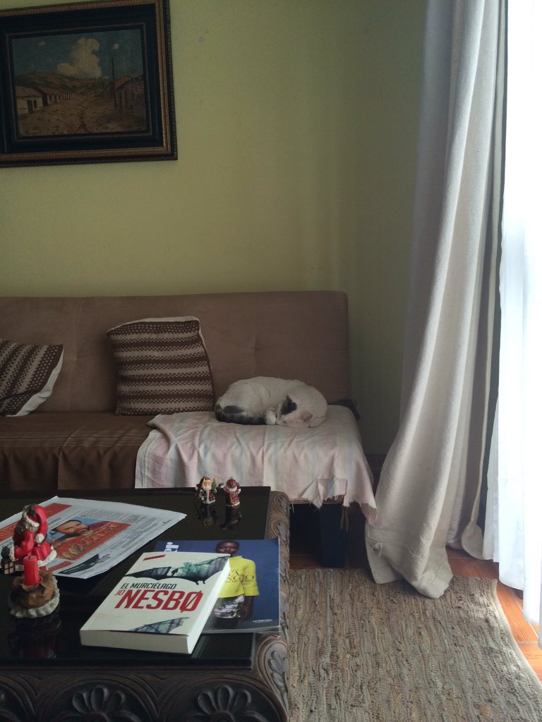 aschaban's tweet photo. Quiero tener esta vida 😍💛😽 https://t.co/TyV4a28vq1