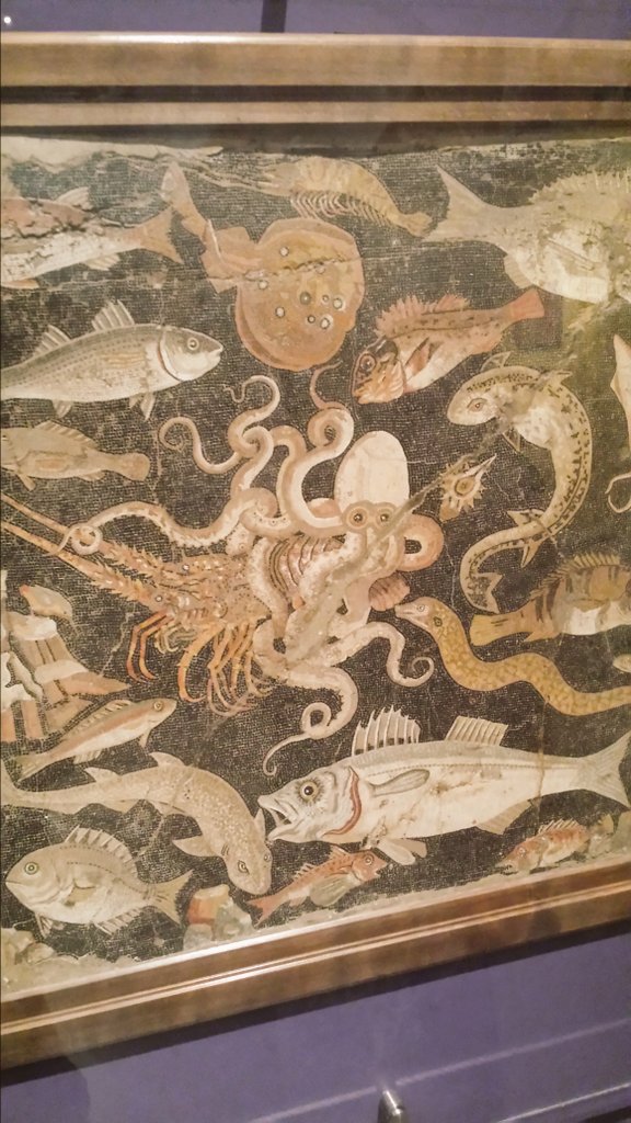 MrSavva's tweet photo. So glad I made it to the #Pompeii exhibit at the #ROM. Well worth it. #Rompeii @ROMtoronto @ROMAncient https://t.co/LKgBS4Hts8