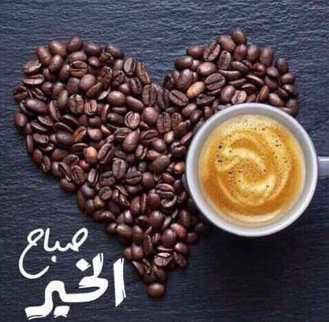 @saalmaa017 @__88ALI88__