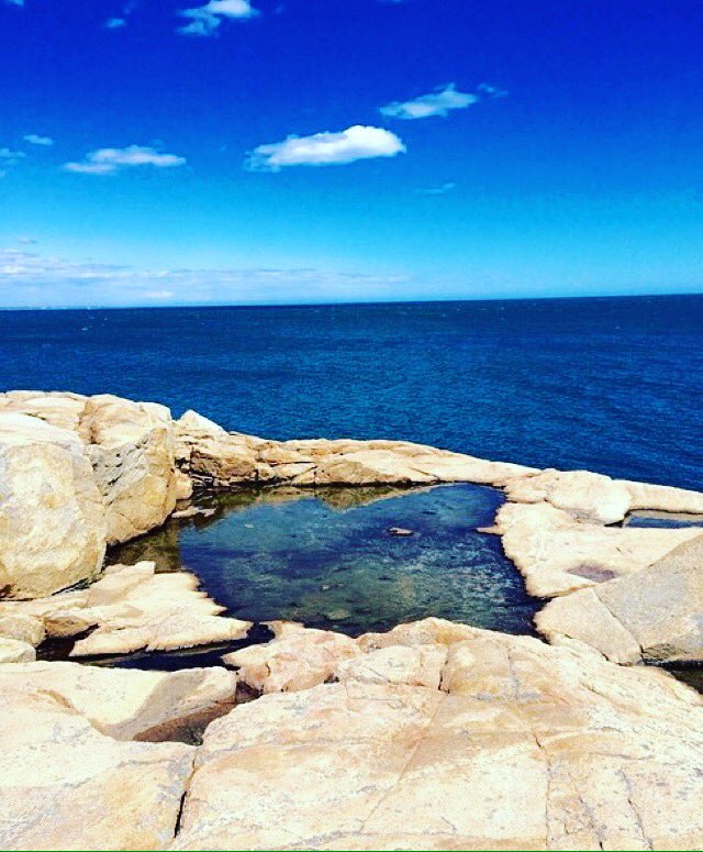 Only a couple more weeks till we're back home in Rhody 💙