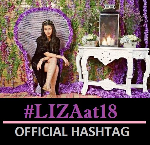 lizquen_fanboys tweet picture