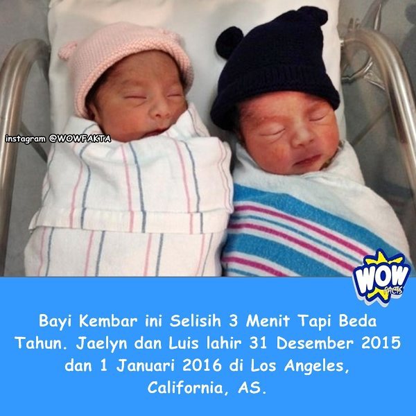 kontenwow's tweet photo. Faktagram hari ini: #tahukahkamu #tahukahanda #wowfakta #fakta #faktanya #wow #mostpopular … https://t.co/yMBol4Wh1l https://t.co/7i9mPeCNz1