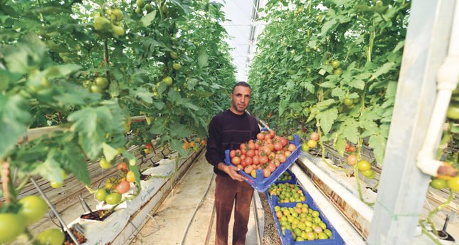 Ver imagen en Twitter