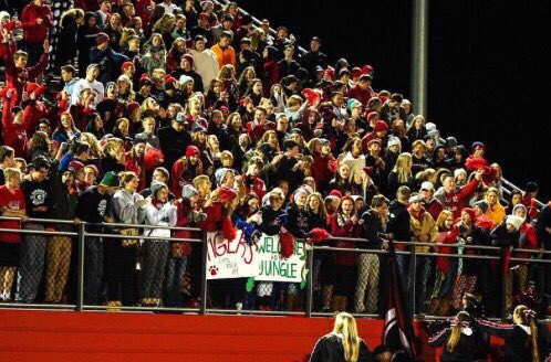 Best of the Best tweet media