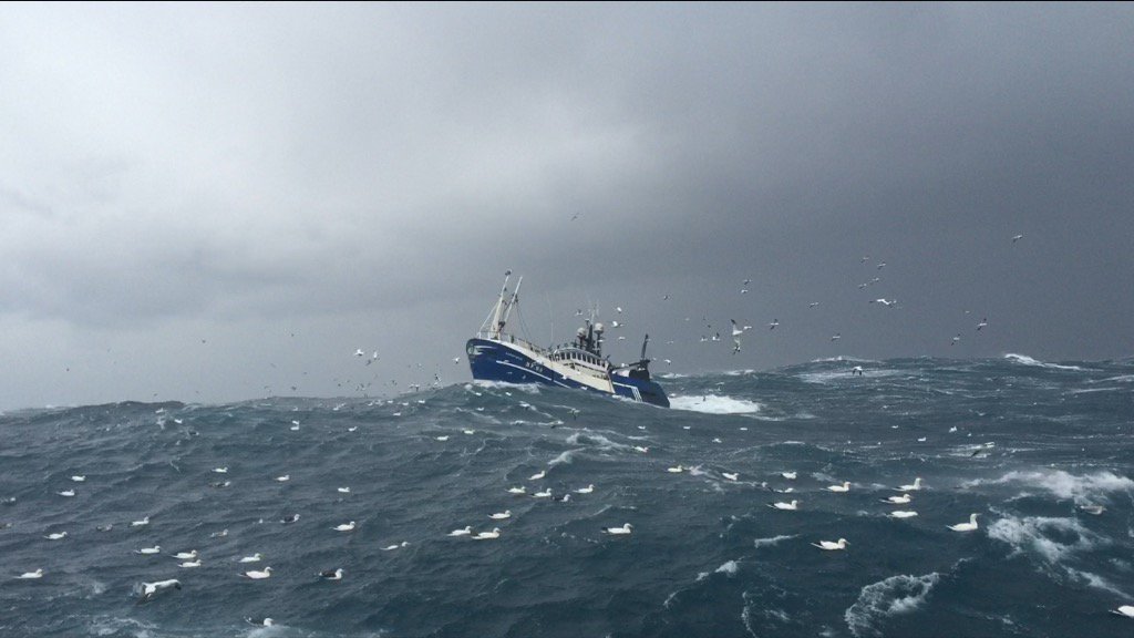 reidymail's tweet photo. Audacious bf83 new year trip...#northsea #pairtrawl #scottishseafood #poorweather https://t.co/LIhneU9QJE