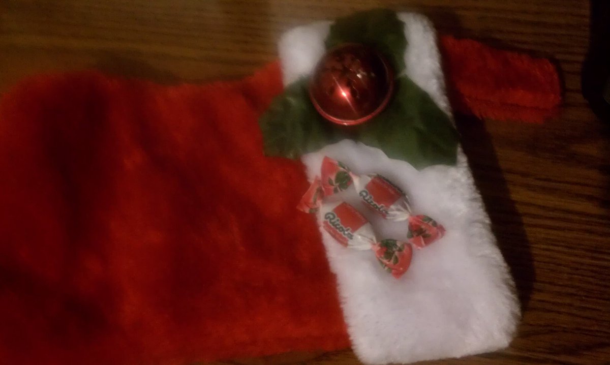 J_A2106's tweet photo. This year we only had one stocking for a human and another for our cats. #swissherbs #sponsored https://t.co/NxKPDYNt7t