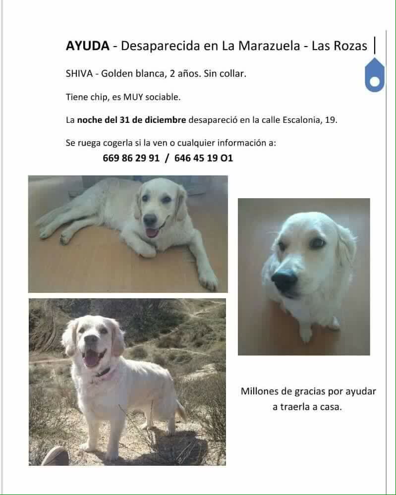 barbaraglezama's tweet photo. Difusión por favor @perezreverte https://t.co/mt8AYp5Wri