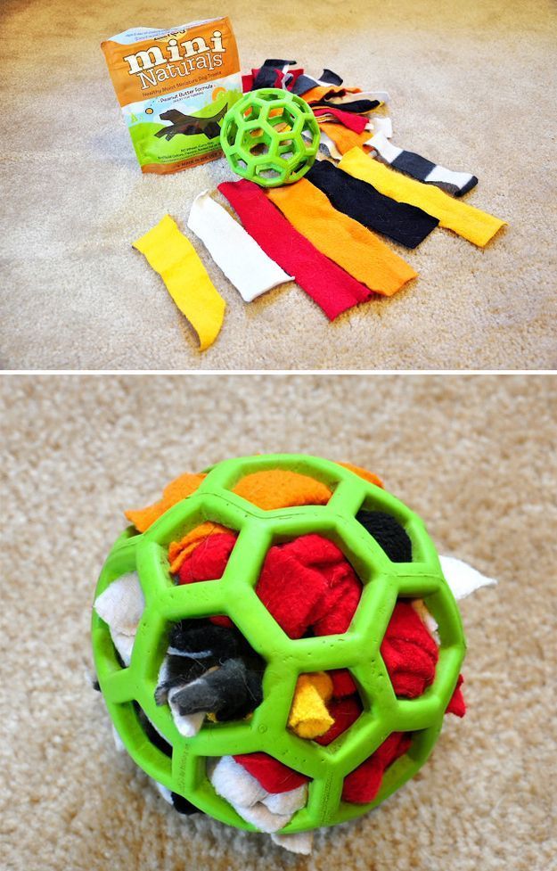 AlleghenyVet's tweet image. #DogDIY: Make your dog a a durable activity ball with a rubber ball, scraps of fabric, and treats! #DogToy